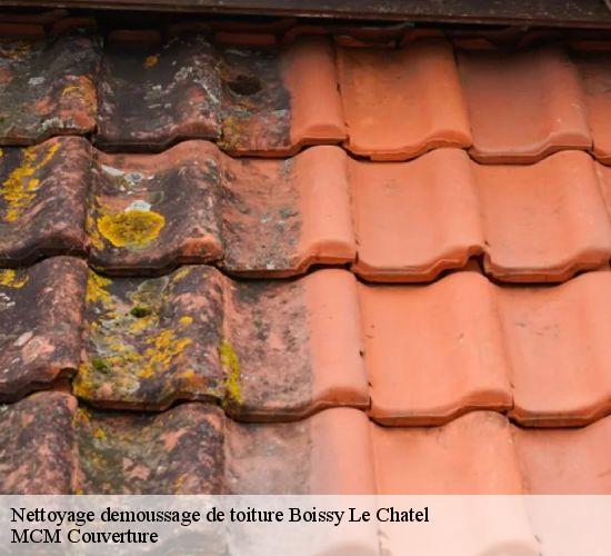 Nettoyage demoussage de toiture boissy-le-chatel-77169 MCM Couverture