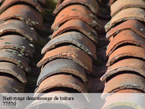 Nettoyage demoussage de toiture  bougligny-77570 Riviera Joseph