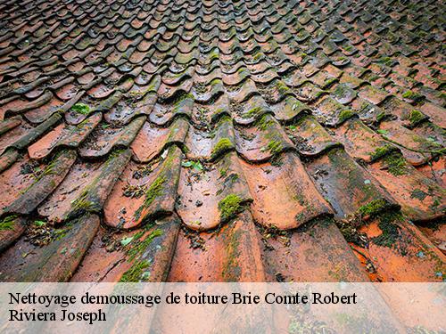 Nettoyage demoussage de toiture  brie-comte-robert-77170 Riviera Joseph