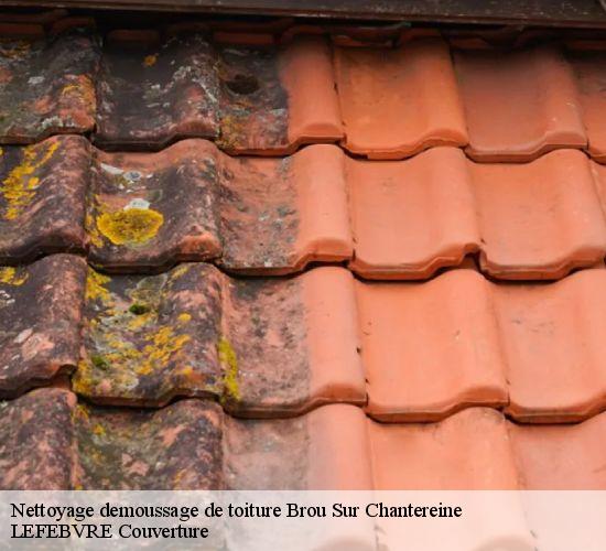Nettoyage demoussage de toiture  brou-sur-chantereine-77177 LEFEBVRE Couverture 