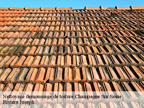 Nettoyage demoussage de toiture  champagne-sur-seine-77430 Riviera Joseph