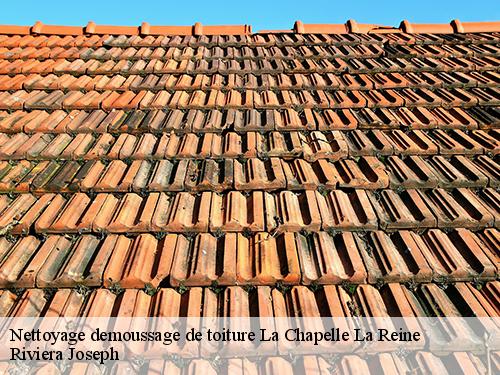 Nettoyage demoussage de toiture  la-chapelle-la-reine-77760 Riviera Joseph