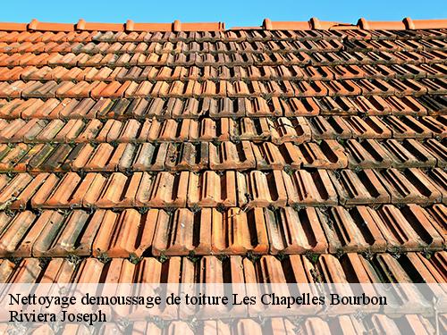 Nettoyage demoussage de toiture  les-chapelles-bourbon-77610 Riviera Joseph