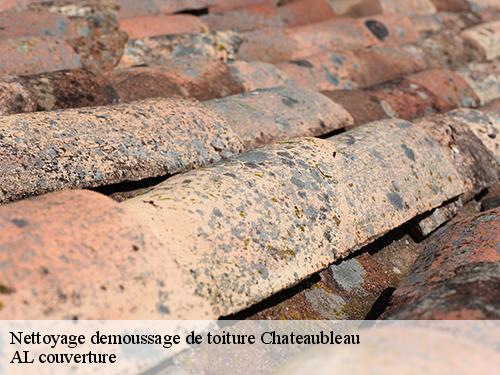 Nettoyage demoussage de toiture chateaubleau-77370 Artisan Schtenegry