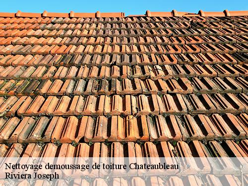 Nettoyage demoussage de toiture  chateaubleau-77370 Artisan Schtenegry