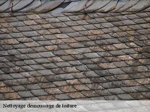 Nettoyage demoussage de toiture  chateaubleau-77370 Artisan Schtenegry