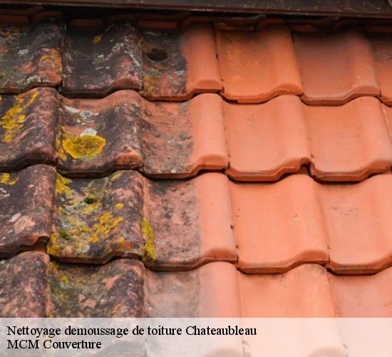 Nettoyage demoussage de toiture  chateaubleau-77370 MCM Couverture