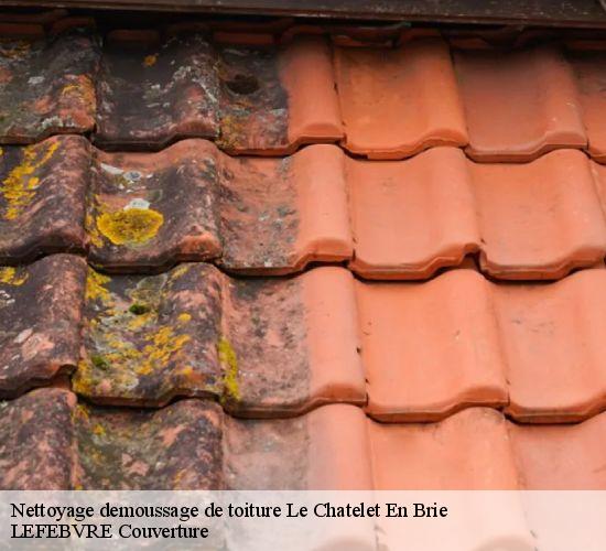 Nettoyage demoussage de toiture  le-chatelet-en-brie-77820 LEFEBVRE Couverture 