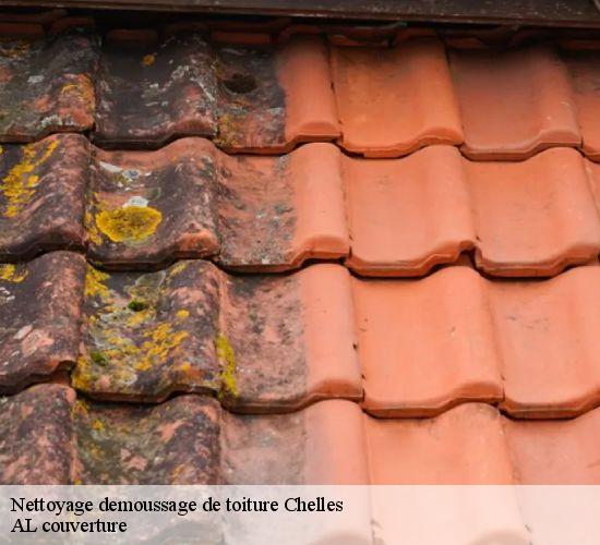 Nettoyage demoussage de toiture  chelles-77500 AL couverture