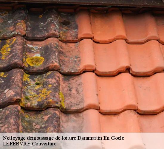 Nettoyage demoussage de toiture  dammartin-en-goele-77230 LEFEBVRE Couverture 