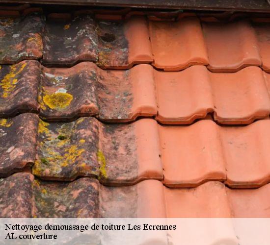 Nettoyage demoussage de toiture  les-ecrennes-77820 AL couverture