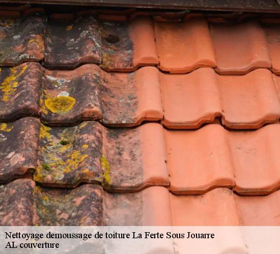 Nettoyage demoussage de toiture  la-ferte-sous-jouarre-77260 AL couverture