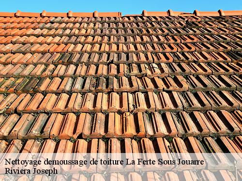 Nettoyage demoussage de toiture  la-ferte-sous-jouarre-77260 Riviera Joseph