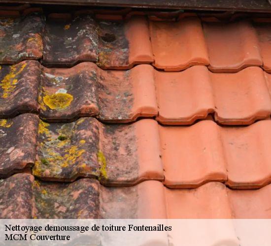 Nettoyage demoussage de toiture  fontenailles-77370 MCM Couverture