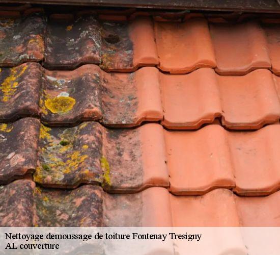 Nettoyage demoussage de toiture  fontenay-tresigny-77610 AL couverture