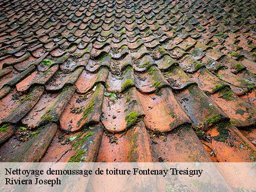 Nettoyage demoussage de toiture  fontenay-tresigny-77610 Riviera Joseph