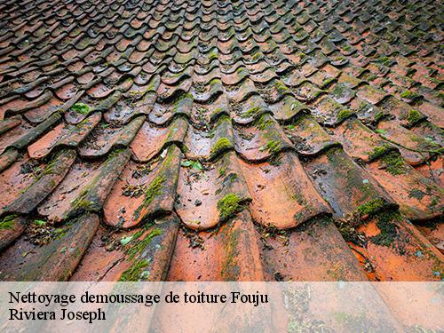 Nettoyage demoussage de toiture  fouju-77390 Arnaud Couverture l'habitat et le confort 