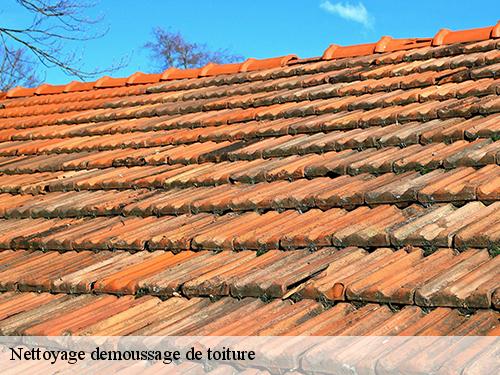 Nettoyage demoussage de toiture  fouju-77390 Arnaud Couverture l'habitat et le confort 