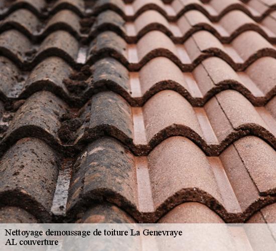 Nettoyage demoussage de toiture  la-genevraye-77690 AL couverture