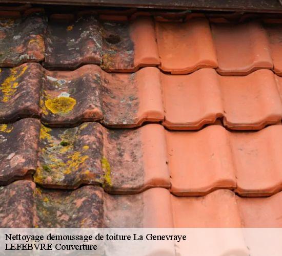 Nettoyage demoussage de toiture  la-genevraye-77690 LEFEBVRE Couverture 
