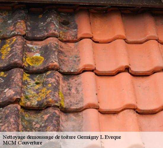 Nettoyage demoussage de toiture  germigny-l-eveque-77910 MCM Couverture