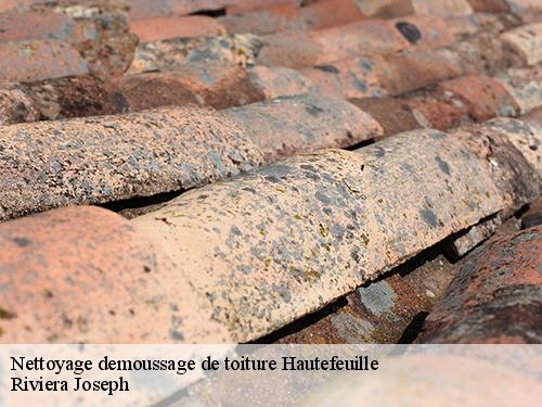 Nettoyage demoussage de toiture  hautefeuille-77515 Artisan Schtenegry