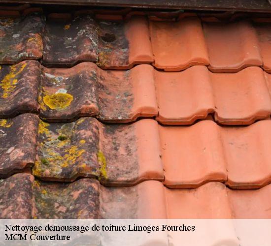 Nettoyage demoussage de toiture limoges-fourches-77550 MCM Couverture