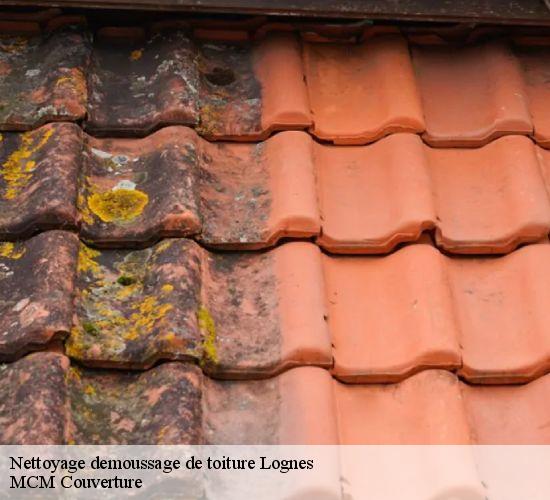 Nettoyage demoussage de toiture lognes-77185 MCM Couverture