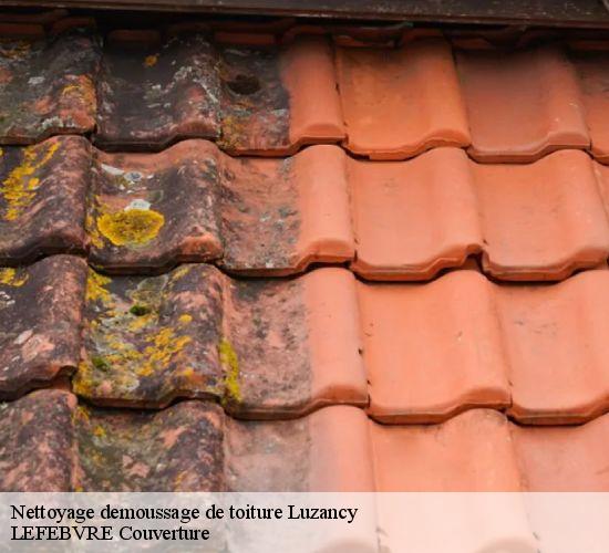Nettoyage demoussage de toiture luzancy-77138 LEFEBVRE Couverture