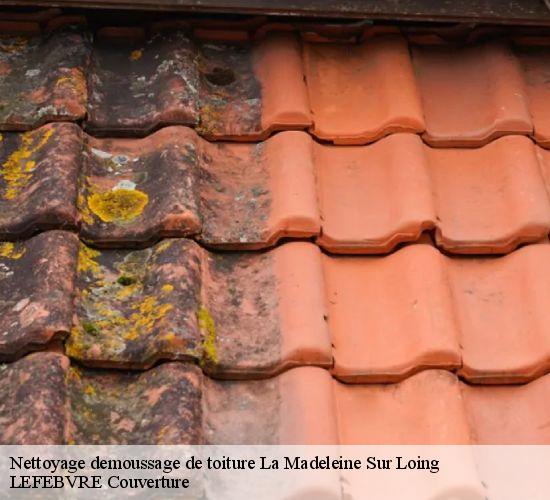 Nettoyage demoussage de toiture  la-madeleine-sur-loing-77570 LEFEBVRE Couverture 