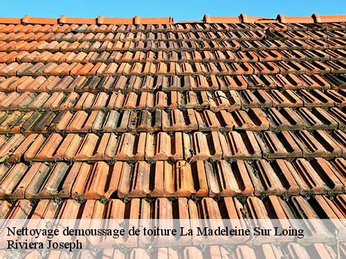 Nettoyage demoussage de toiture  la-madeleine-sur-loing-77570 Riviera Joseph