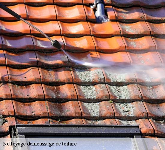Nettoyage demoussage de toiture  mareuil-les-meaux-77100 AL couverture