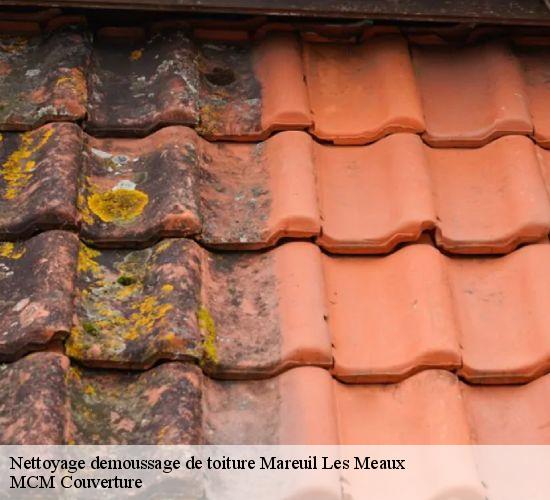 Nettoyage demoussage de toiture mareuil-les-meaux-77100 MCM Couverture