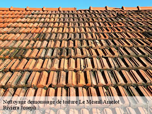 Nettoyage demoussage de toiture  le-mesnil-amelot-77990 Artisan Schtenegry