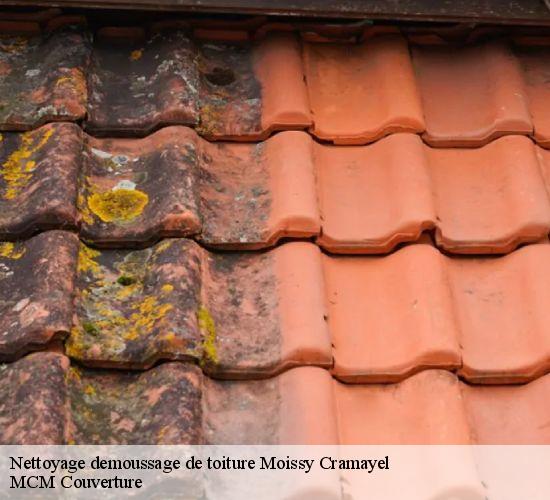 Nettoyage demoussage de toiture moissy-cramayel-77550 MCM Couverture
