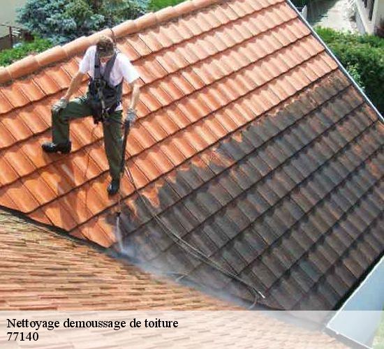 Nettoyage demoussage de toiture montcourt-fromonville-77140 LEFEBVRE Couverture
