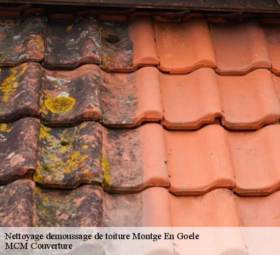 Nettoyage demoussage de toiture montge-en-goele-77230 MCM Couverture
