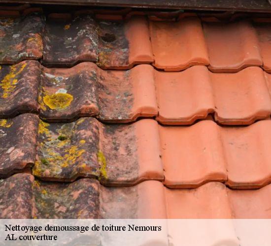 Nettoyage demoussage de toiture  nemours-77140 AL couverture