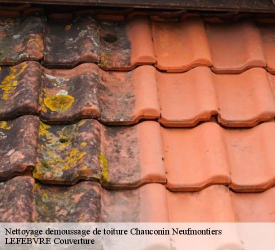 Nettoyage demoussage de toiture chauconin-neufmontiers-77124 LEFEBVRE Couverture