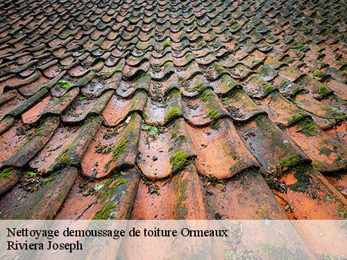 Nettoyage demoussage de toiture  ormeaux-77540 Arnaud Couverture l'habitat et le confort 