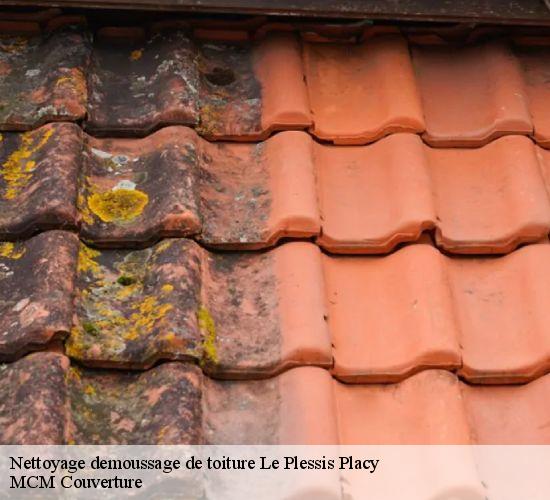 Nettoyage demoussage de toiture le-plessis-placy-77440 MCM Couverture