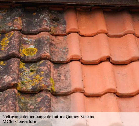 Nettoyage demoussage de toiture quincy-voisins-77860 MCM Couverture