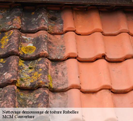 Nettoyage demoussage de toiture rubelles-77950 MCM Couverture