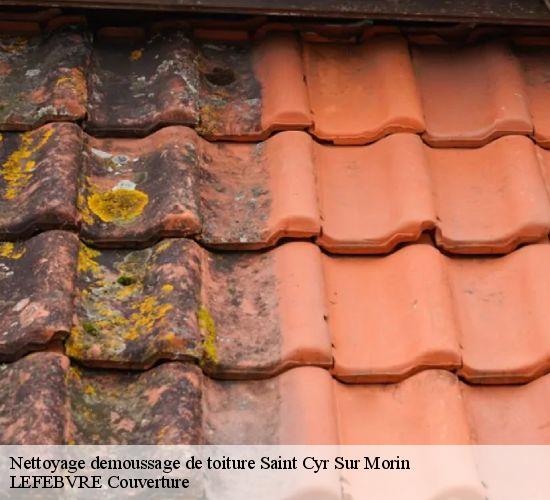 Nettoyage demoussage de toiture  saint-cyr-sur-morin-77750 LEFEBVRE Couverture 