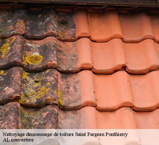 Nettoyage demoussage de toiture  saint-fargeau-ponthierry-77310 AL couverture