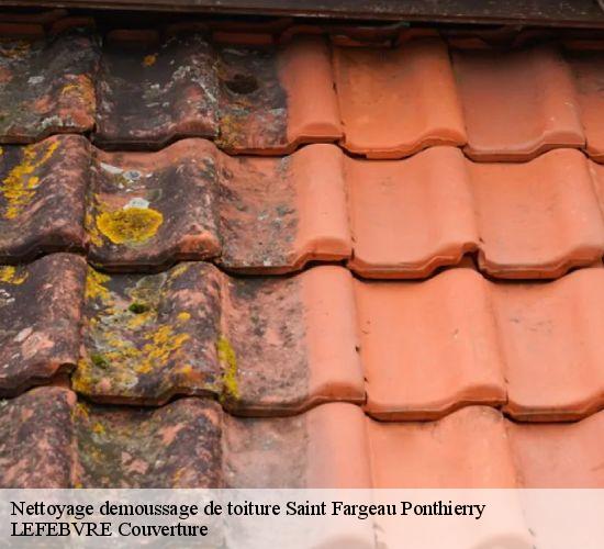 Nettoyage demoussage de toiture saint-fargeau-ponthierry-77310 LEFEBVRE Couverture