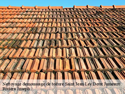 Nettoyage demoussage de toiture  saint-jean-les-deux-jumeaux-77660 Riviera Joseph