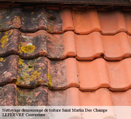 Nettoyage demoussage de toiture saint-martin-des-champs-77320 LEFEBVRE Couverture