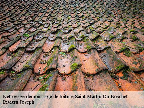 Nettoyage demoussage de toiture  saint-martin-du-boschet-77320 Riviera Joseph