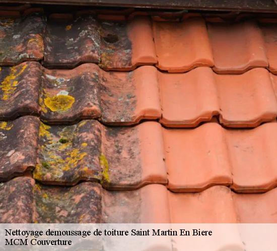 Nettoyage demoussage de toiture saint-martin-en-biere-77630 MCM Couverture